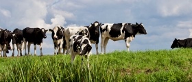 Dairy Farm Maintenance Management Software
