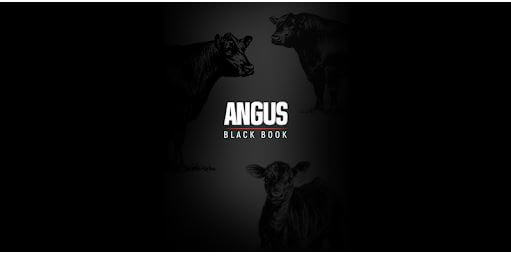 angus black book android app