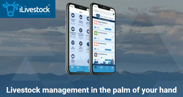 iLivestock - Cattle Management App